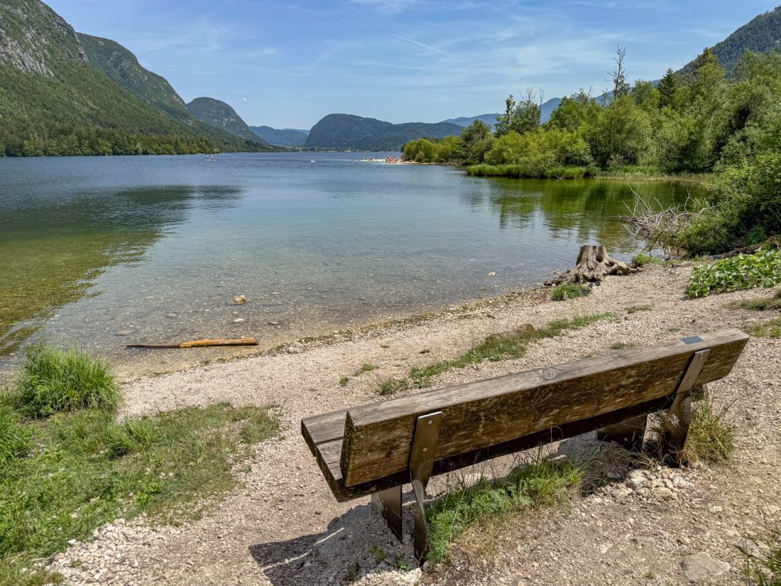 Meer van Bohinj